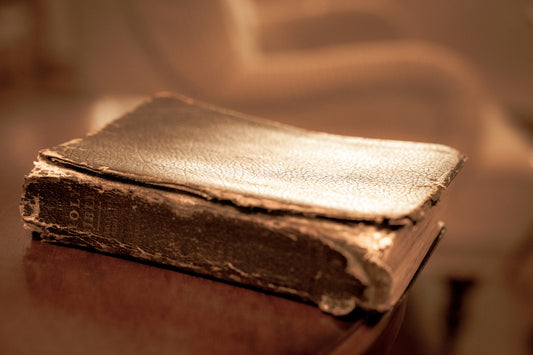 selective focus photography of Holy Bible
