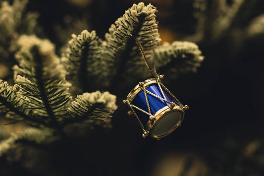 a christmas ornament hanging from a tree