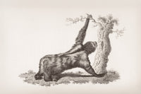 Tarihsel Örneklerle Elmasın Evrimi